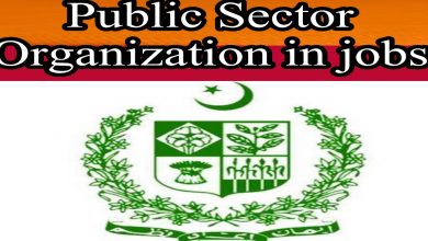 Public Sector Organization
