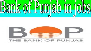 Bank of Punjab