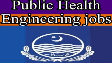 Public Well being Engineering