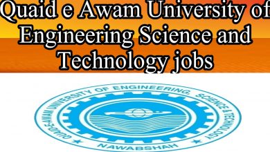 Quaid e Awam University of Engineering Science and Technology