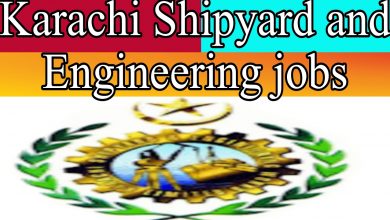 Karachi Shipyard and Engineering