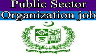 Public Sector Organization