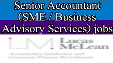 Senior Accountant (SME / Business Advisory Services)
