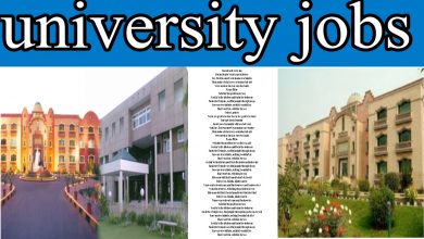university jobs