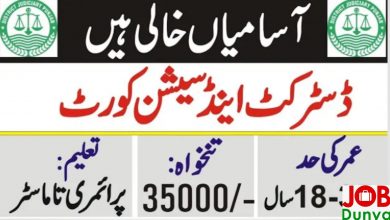 Pakistan Government Jobs District and Session Court