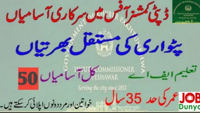 Pakistan Government Jobs Office of The Deputy Commissioner