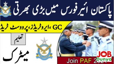 Pakistan Government Jobs Pakistan air force PAF