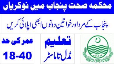 Pakistan Government Jobs Primary & Secondary Healthcare Department