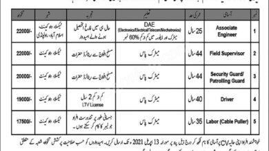 Pakistan Government Jobs Nayatel