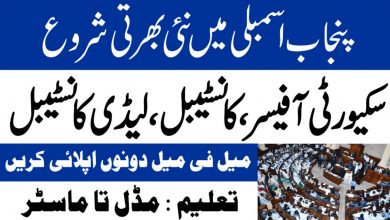 Latest govt jobs Provincial Assembly of the Punjab