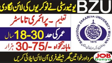 Latest govt jobs Bahauddin Zakariya University Multan BZU