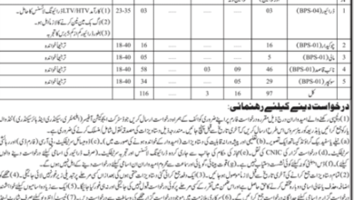 Latest govt jobs Elementary and Secondary Education Department