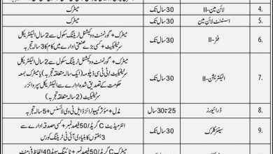 Latest govt jobs National Transmission & Despatch Company Limited