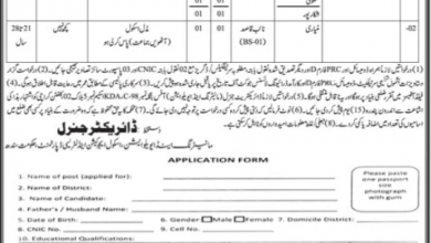 Latest govt jobs School Education and Literacy Department Sindh