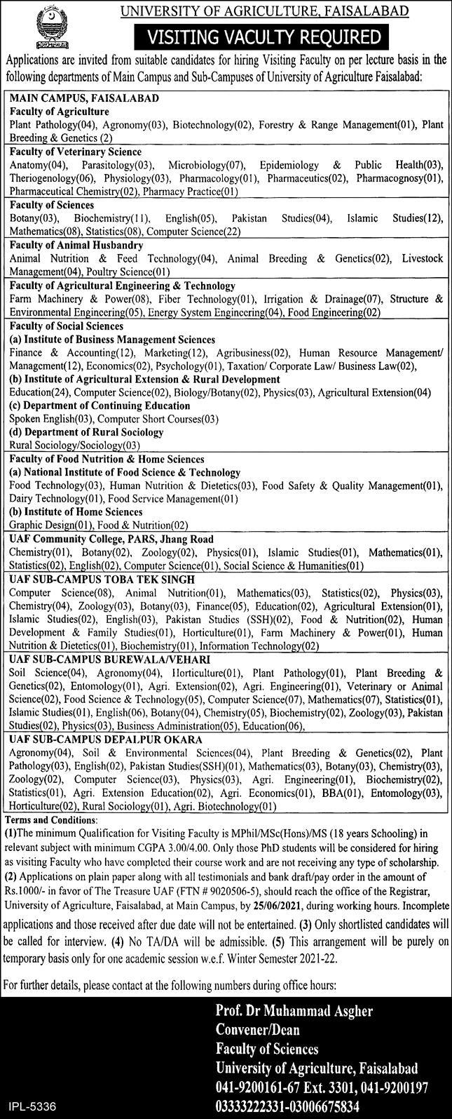 Latest govt jobs University of Agriculture Faisalabad