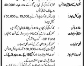 Latest govt jobs National Logistics Cell (NLC)