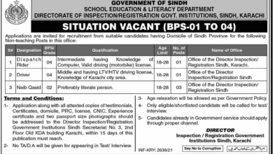 Latest govt jobs School Education and Literacy Department Sindh