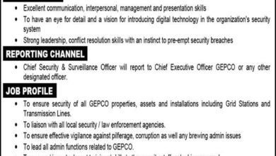 Latest govt jobs Gujranwala Electric Power Company (GEPCO)