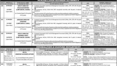 Latest govt jobs Punjab Land Record Authority