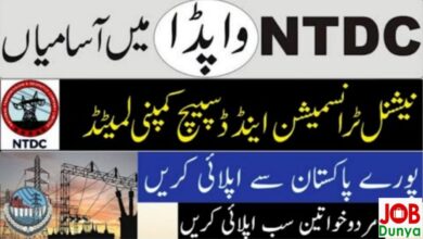 National transmission & despatch company jobs