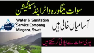 Govt job today Water and Sanitation Services Company