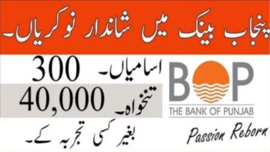 Bank of Punjab jobs 2021 online apply