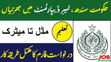 Public private partnership jobs 2021