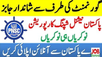 Pakistan national shipping corporation jobs 2021