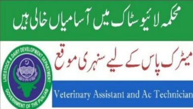 Latest govt jobs Livestock and Dairy Development Department