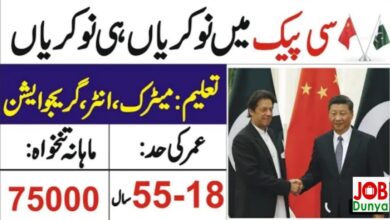 China Pakistan economic corridor jobs