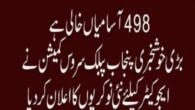 Latest govt jobs Labour and Human Resource Department