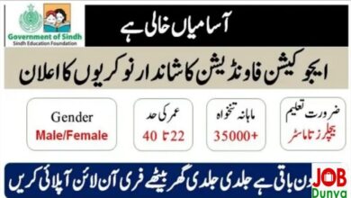 Latest govt jobs Sindh Education Foundation