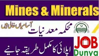 Latest govt jobs Mines and Minerals Department