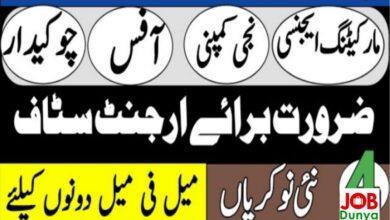Latest jobs American Fertility Center AFC