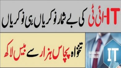 Information Technology jobs in Pakistan