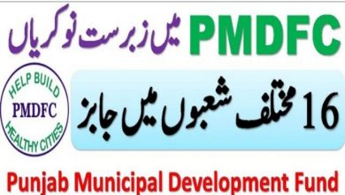 Latest govt jobs Punjab Municipal Development Fund