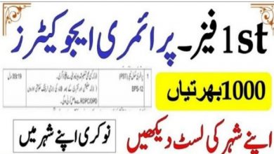 Elementary and Secondary Education Jobs 2021