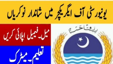 University of Agriculture Dera Ismail Khan jobs