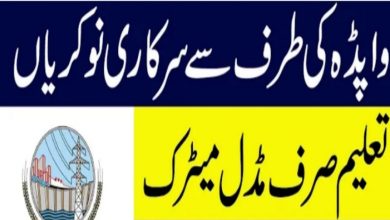 Gujranwala Electric Power govt jobs