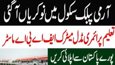 Govt jobs Army Public School and College