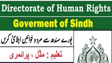 Human Rights Department Sindh jobs
