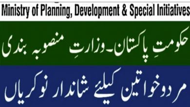 Ministry of Planning Development and Special Initiative jobs