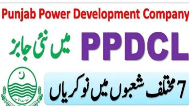 Punjab Power Development Company govt jobs