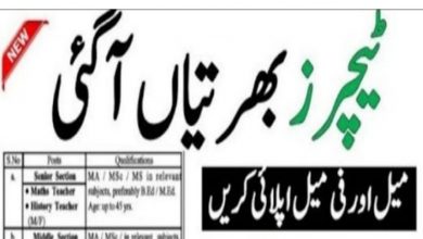 Public School Gadap govt jobs