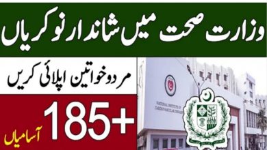 Ministry of National Health Services govt jobs