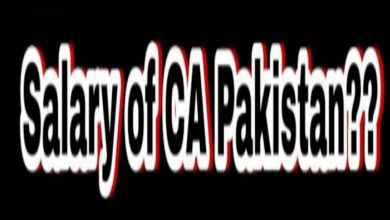 Government jobs for Chartered Accountants in Pakistan