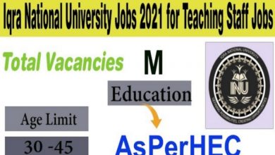 Iqra National University govt job