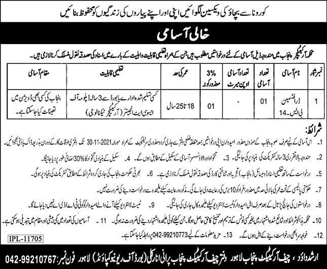 Architecture Department Government of the Punjab jobs