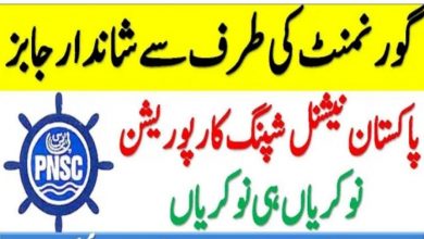 Pakistan National Shipping govt jobs