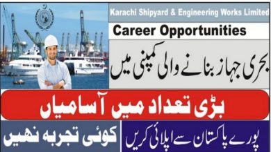 Karachi Shipyard Jobs 2021 application form